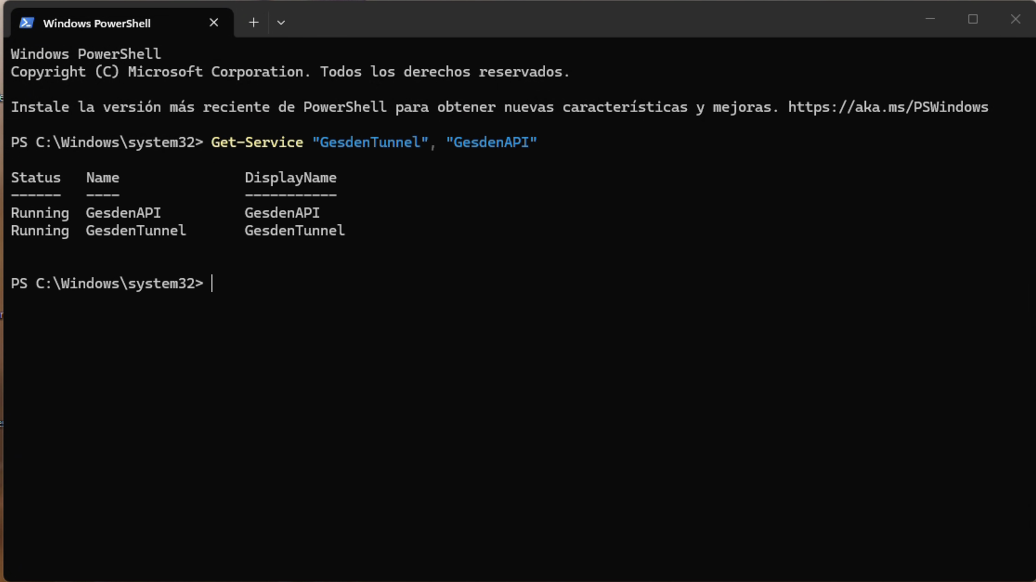 La API y su túnel de acceso como servicios de Windows